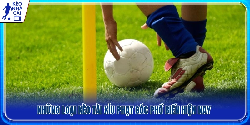 Các hình thức cược tài xỉu phạt góc thường gặp 