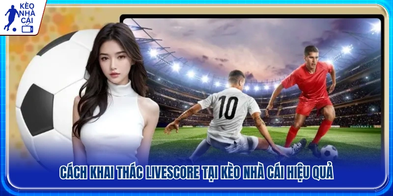 Hướng dẫn sử dụng Livescore tại Kèo Nhà Cái chi tiết nhất 