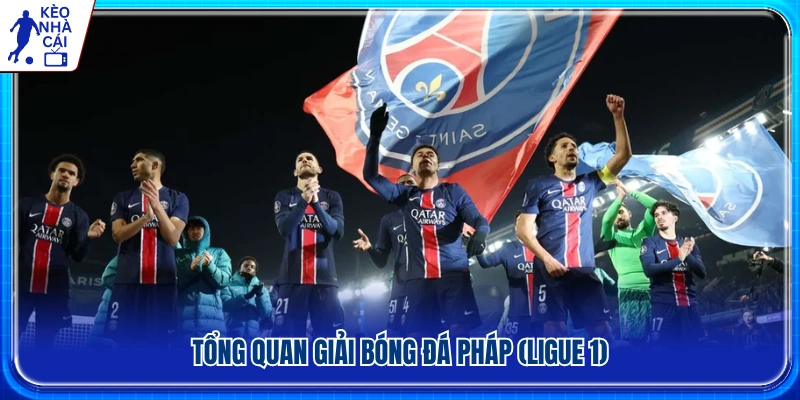Khái quát về giải vô địch quốc gia Pháp Ligue 1 